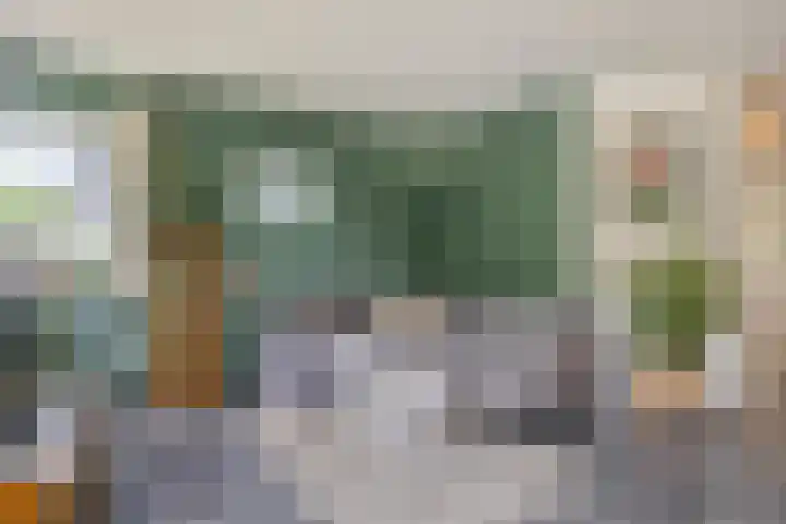 Leygraaf 309 Oss thumbnail 9