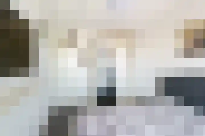 Leyweg 214 Den Haag thumbnail 12