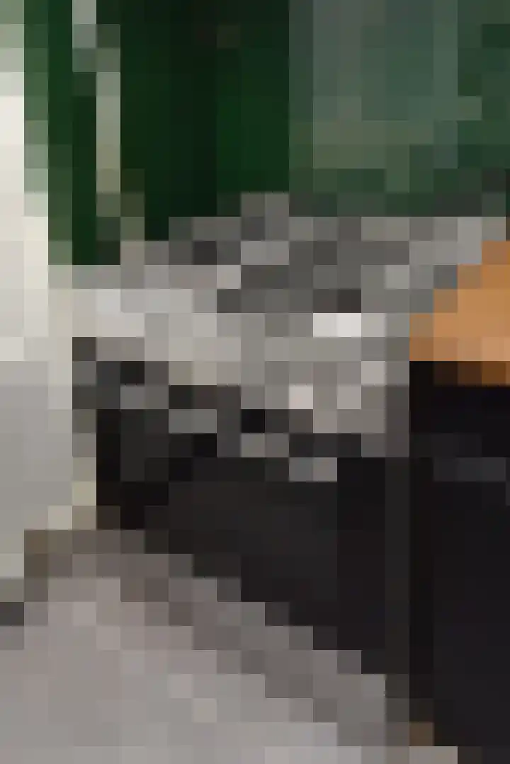 Leyweg 38 B Den Haag thumbnail 17