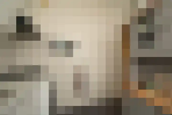 Leyweg 66 Den Haag thumbnail 17
