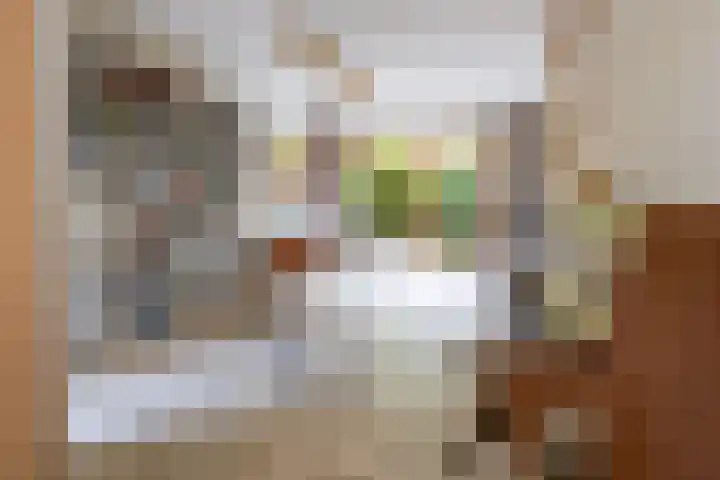 Lheebroek 29 Dwingeloo thumbnail 17