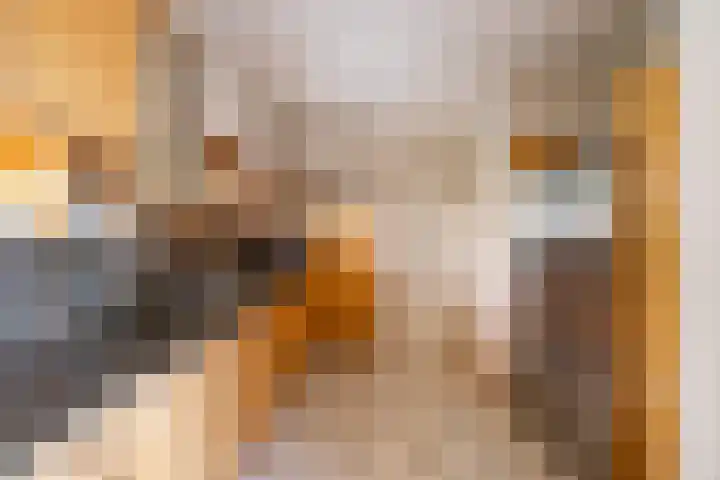 Lheebroek 29 Dwingeloo thumbnail 20