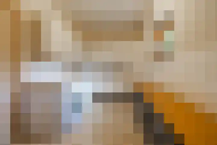 Lheebroek 29 Dwingeloo thumbnail 22