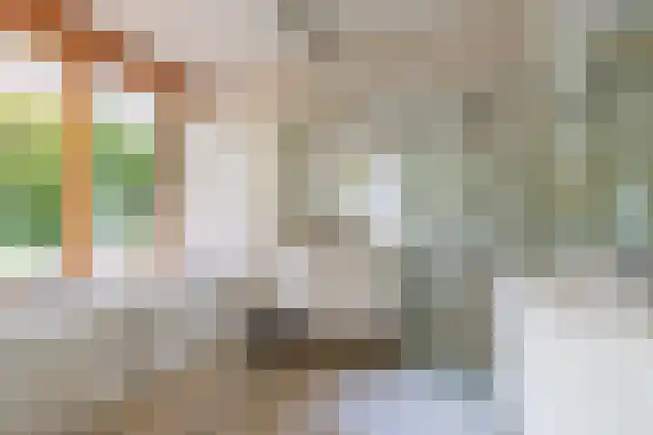 Lheebroek 29 Dwingeloo thumbnail 26