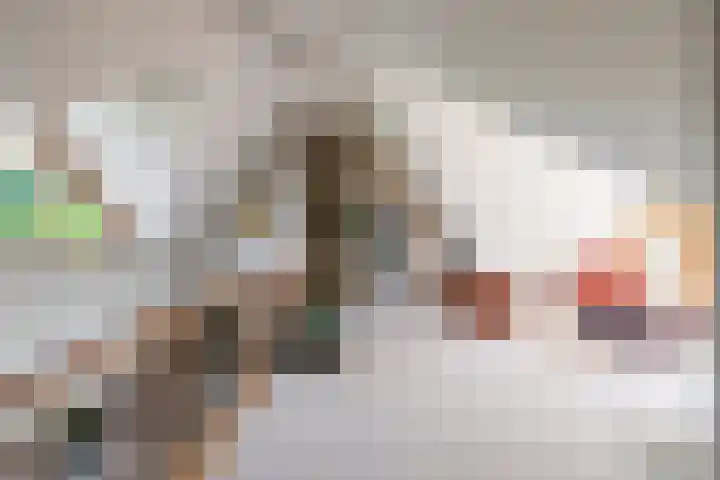 Lheebroek 29 Dwingeloo thumbnail 27