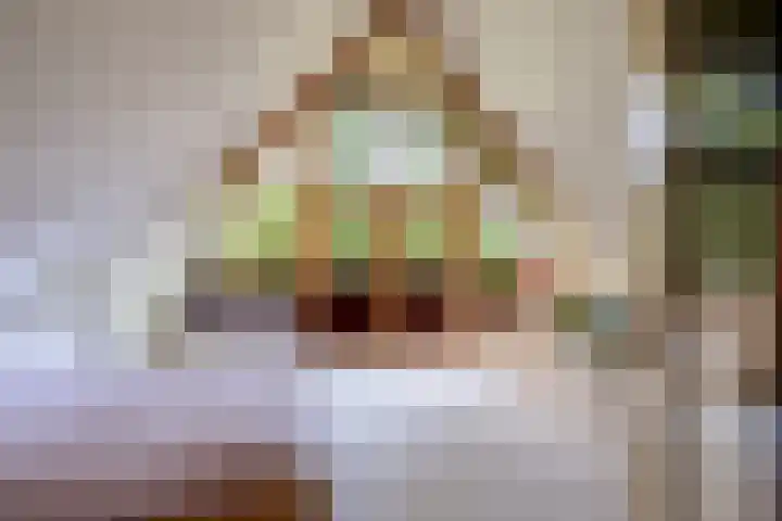 Lheebroek 29 Dwingeloo thumbnail 32