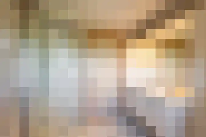 Lheebroek 29 Dwingeloo thumbnail 35