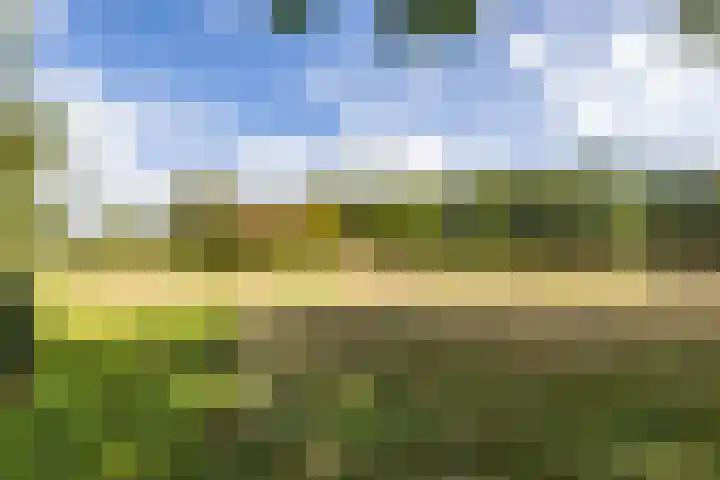 Lheebroek 29 Dwingeloo thumbnail 36