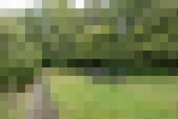 Lheebroek 29 Dwingeloo thumbnail 39
