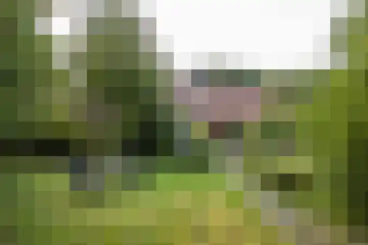 Lheebroek 29 Dwingeloo thumbnail 40