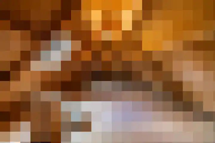 Lheebroek 29 Dwingeloo thumbnail 45