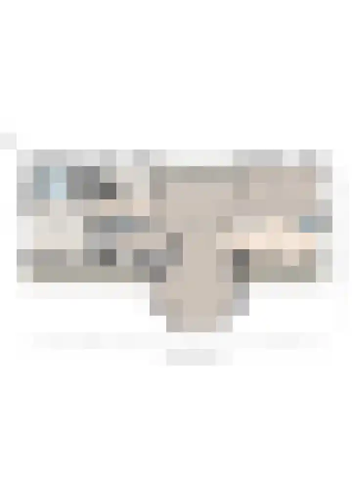 Lheebroek 29 Dwingeloo thumbnail 46