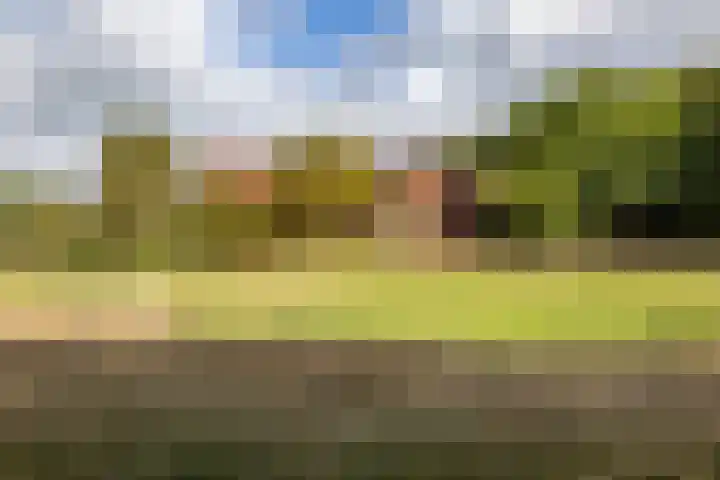 Lheebroek 29 Dwingeloo thumbnail 6