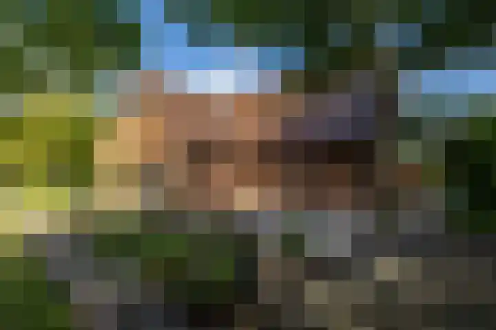 Lheebroek 29 Dwingeloo thumbnail 7
