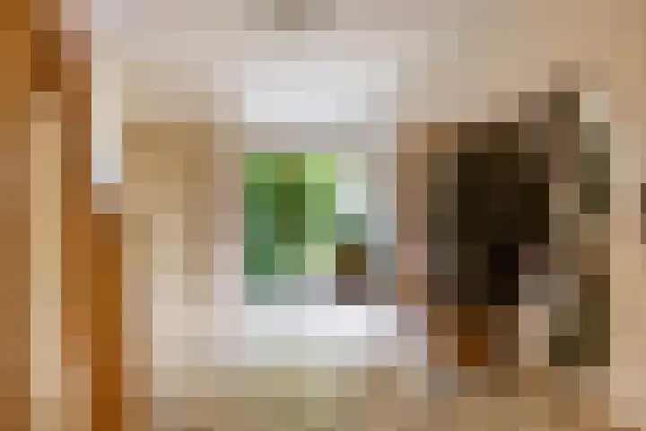 Lheebroek 29 Dwingeloo thumbnail 9