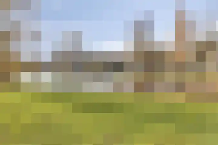 Libanonweg 100 Rotterdam thumbnail 22