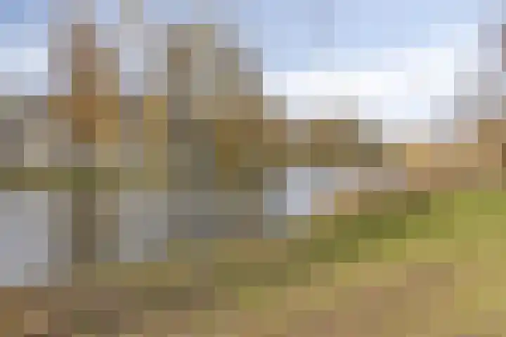 Libanonweg 100 Rotterdam thumbnail 23