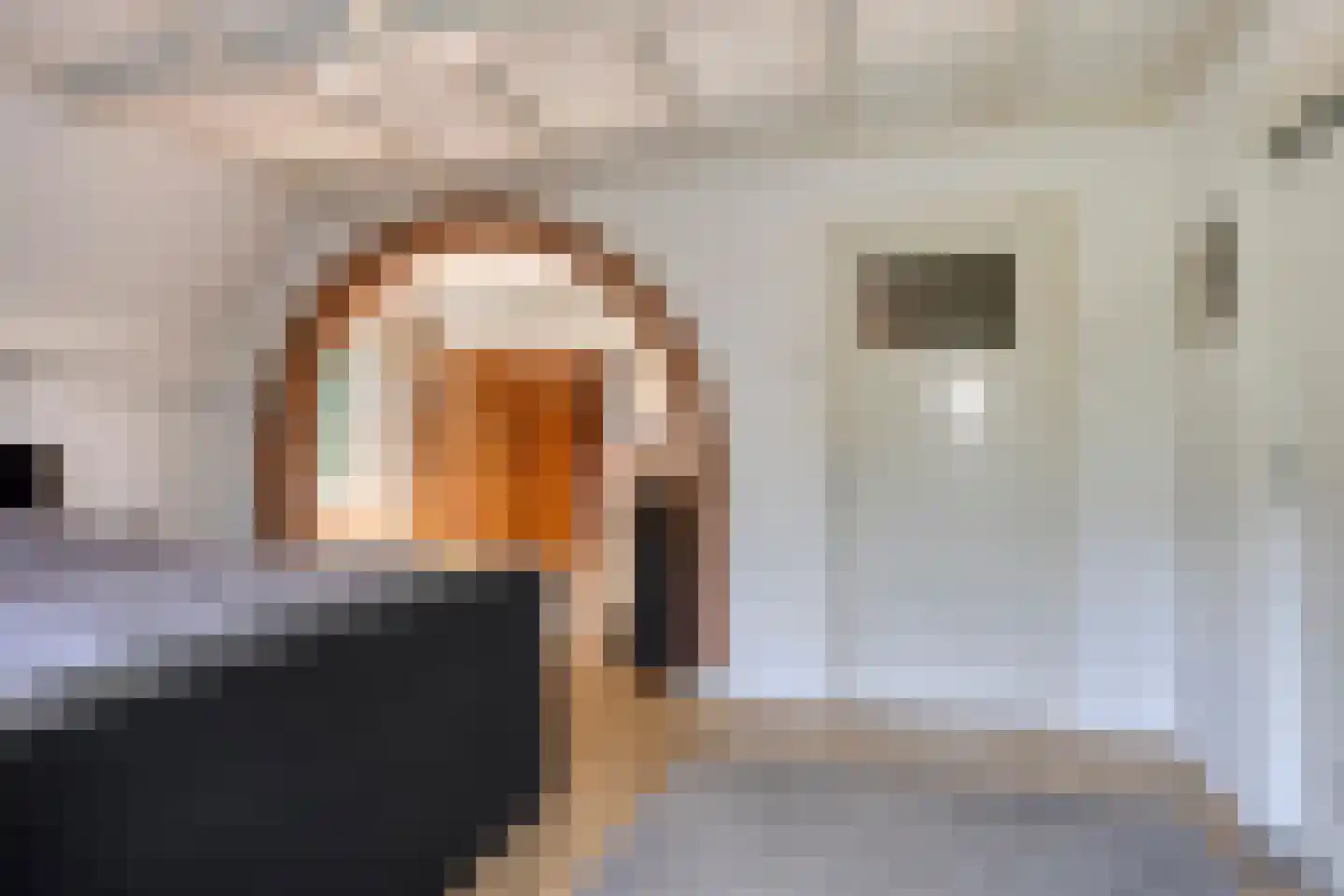 Libanonweg 5 Hattem thumbnail 23