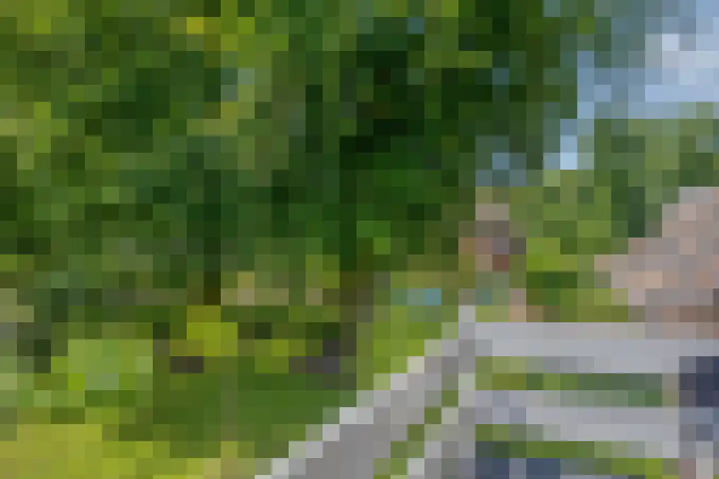 Libanonweg 5 Hattem thumbnail 26