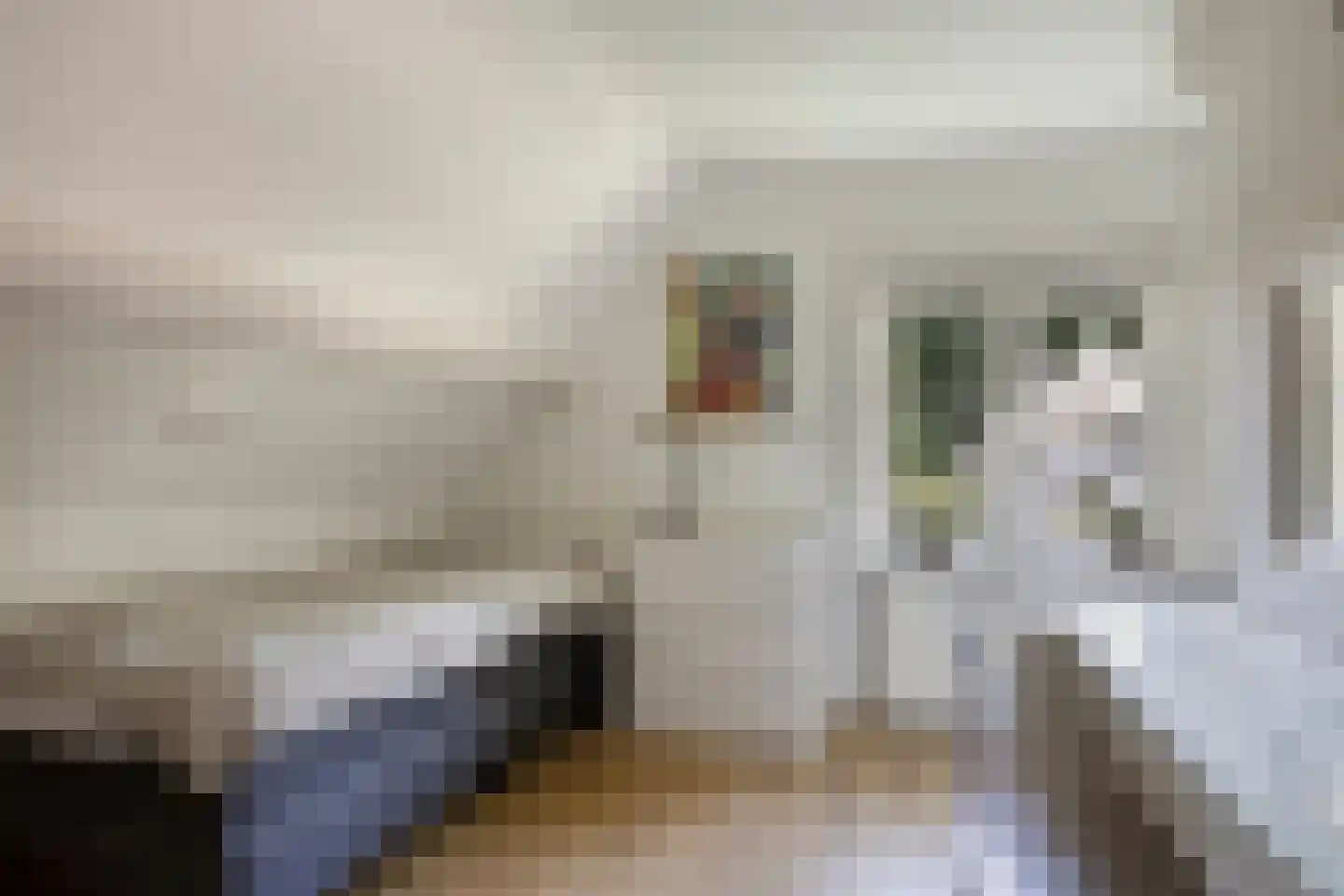 Libanonweg 5 Hattem thumbnail 30