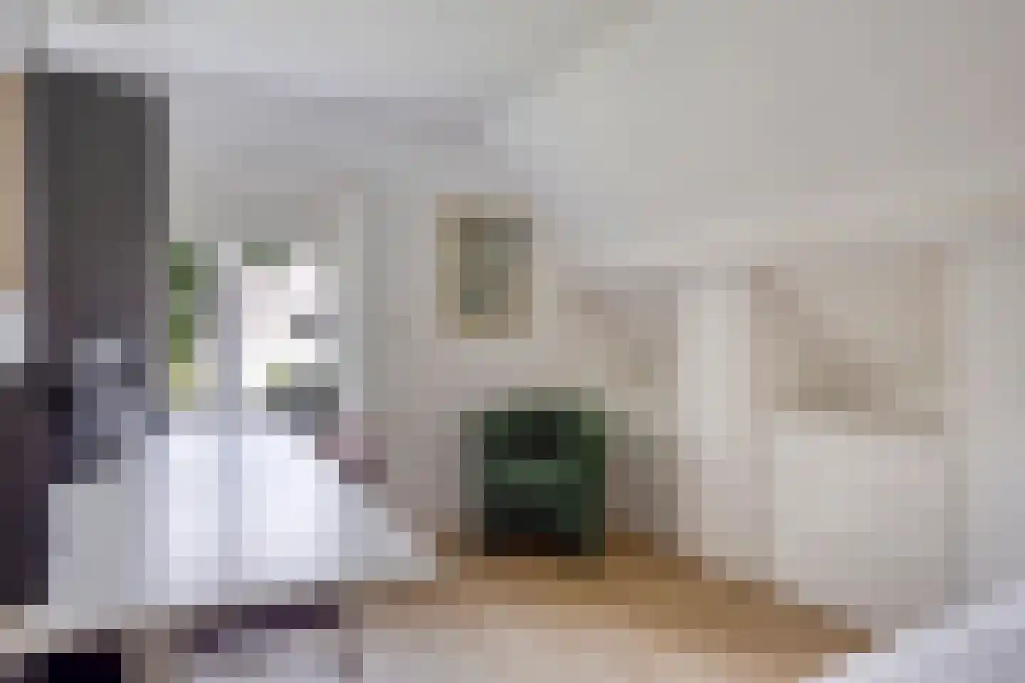 Libanonweg 5 Hattem thumbnail 31