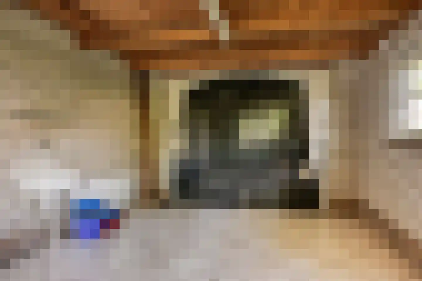 Libanonweg 5 Hattem thumbnail 36