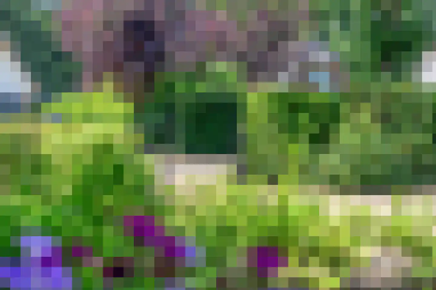 Libanonweg 5 Hattem thumbnail 38