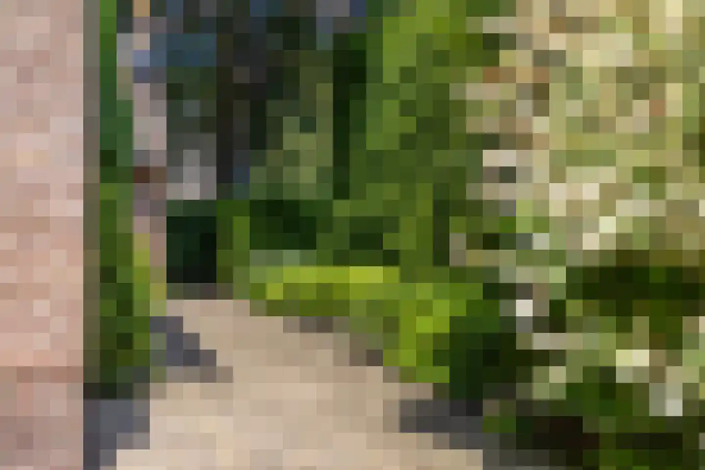 Libanonweg 5 Hattem thumbnail 39