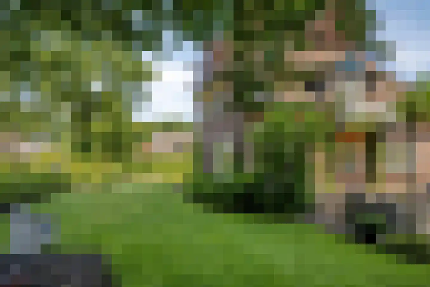 Libanonweg 5 Hattem thumbnail 41