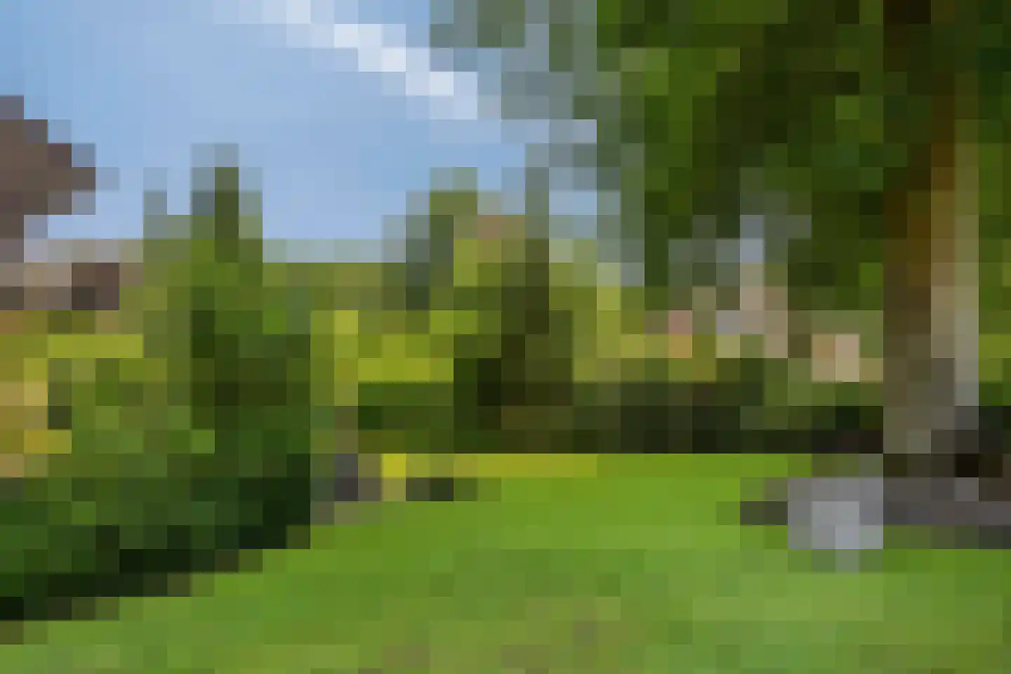 Libanonweg 5 Hattem thumbnail 42