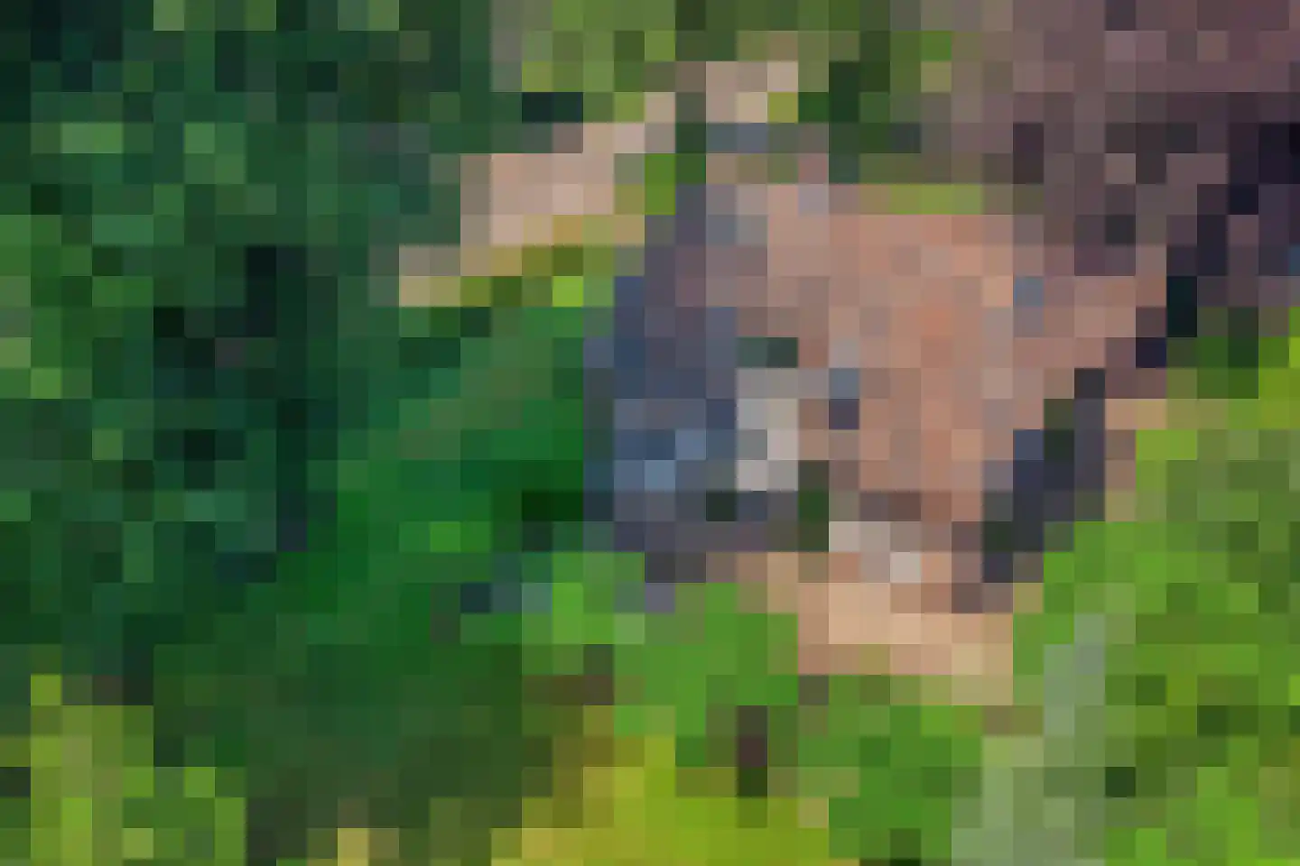 Libanonweg 5 Hattem thumbnail 43