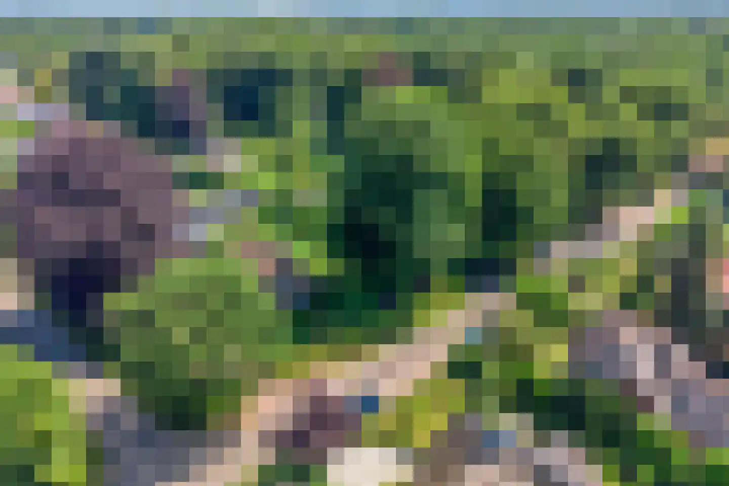 Libanonweg 5 Hattem thumbnail 46