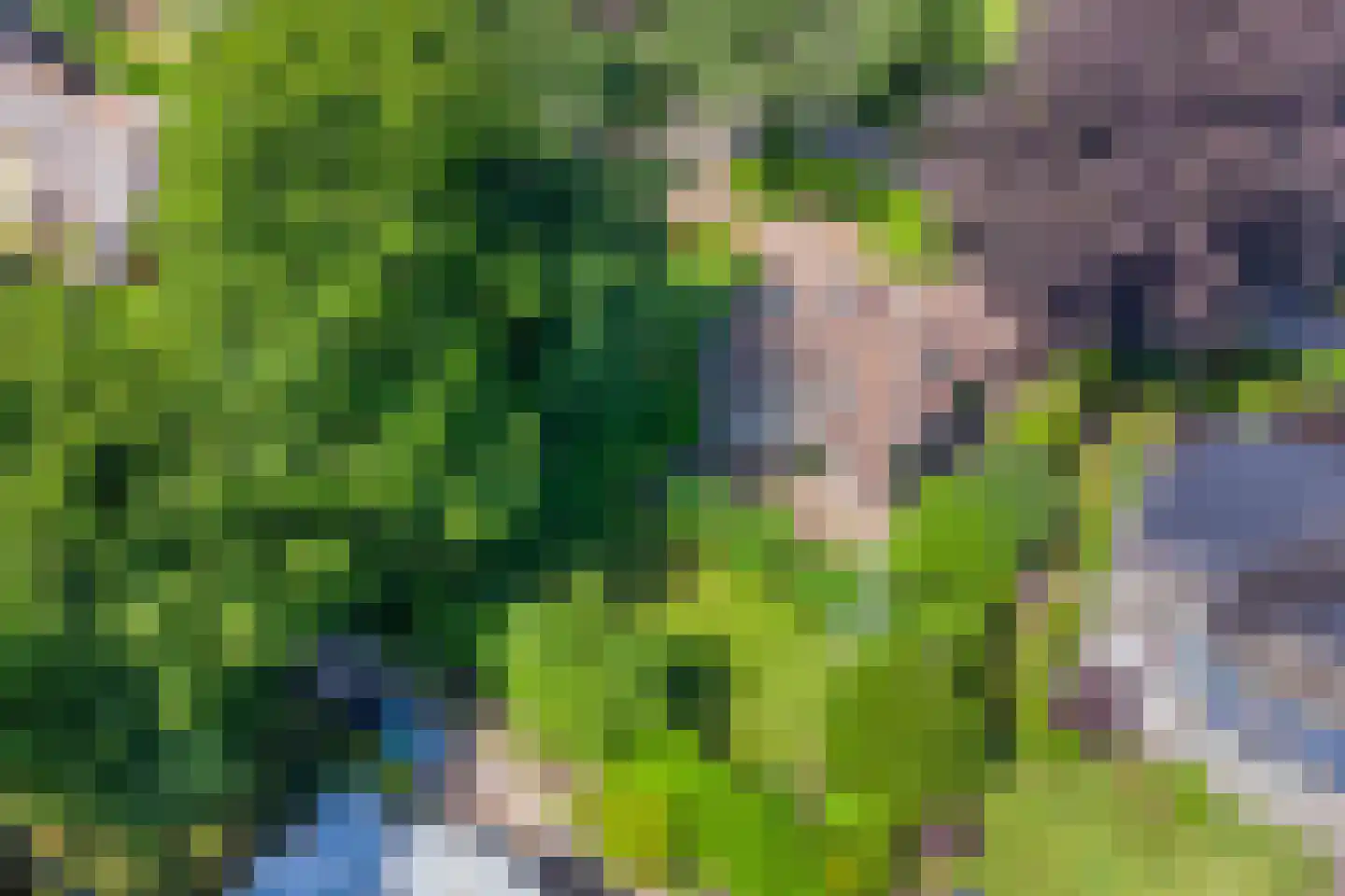 Libanonweg 5 Hattem thumbnail 47