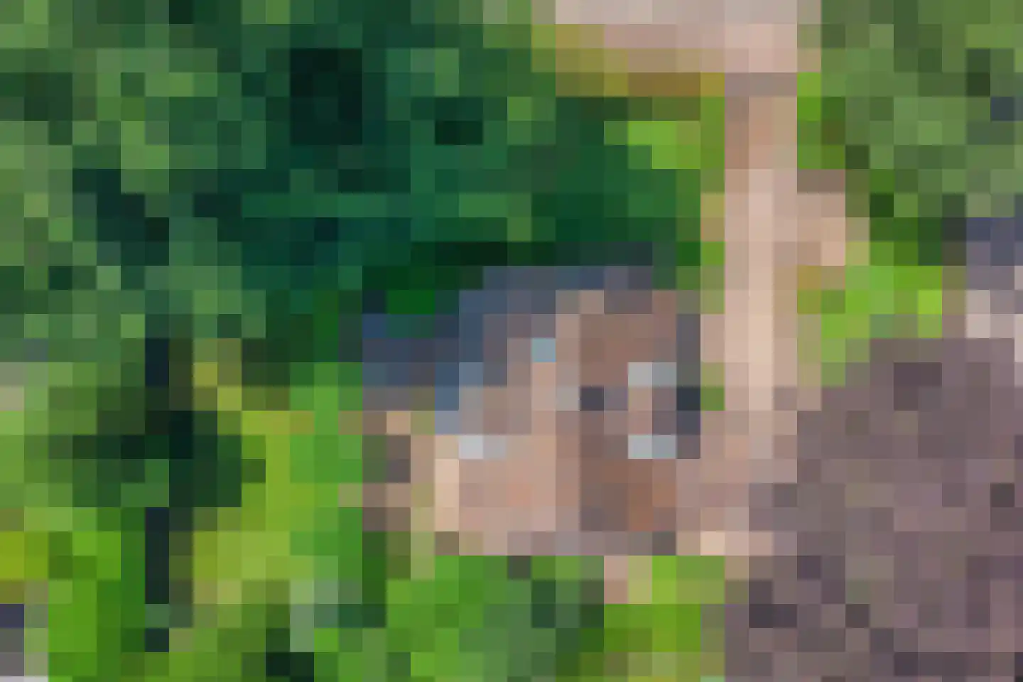 Libanonweg 5 Hattem thumbnail 48