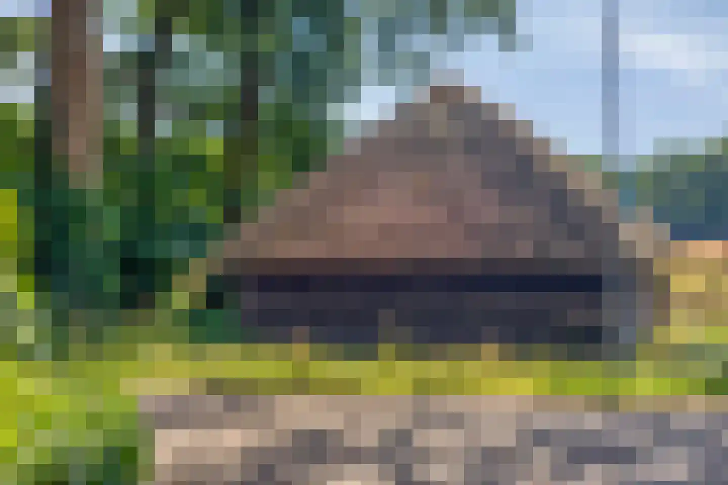Libanonweg 5 Hattem thumbnail 50