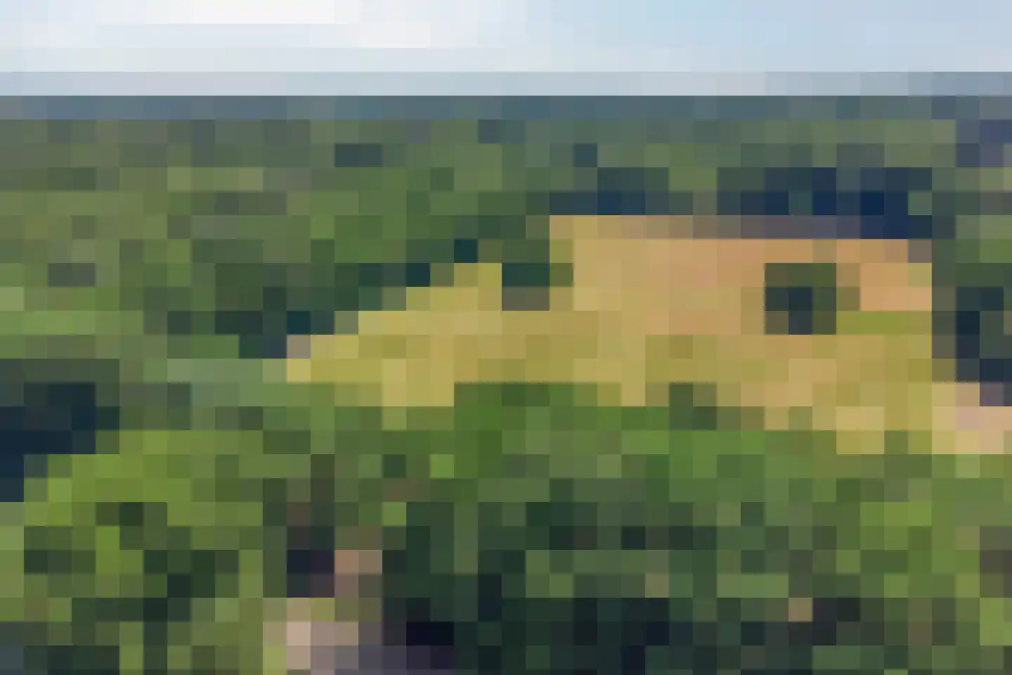 Libanonweg 5 Hattem thumbnail 51