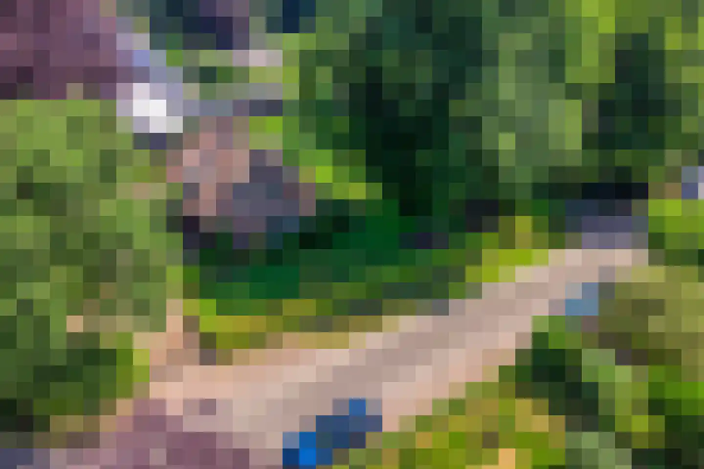 Libanonweg 5 Hattem thumbnail 7