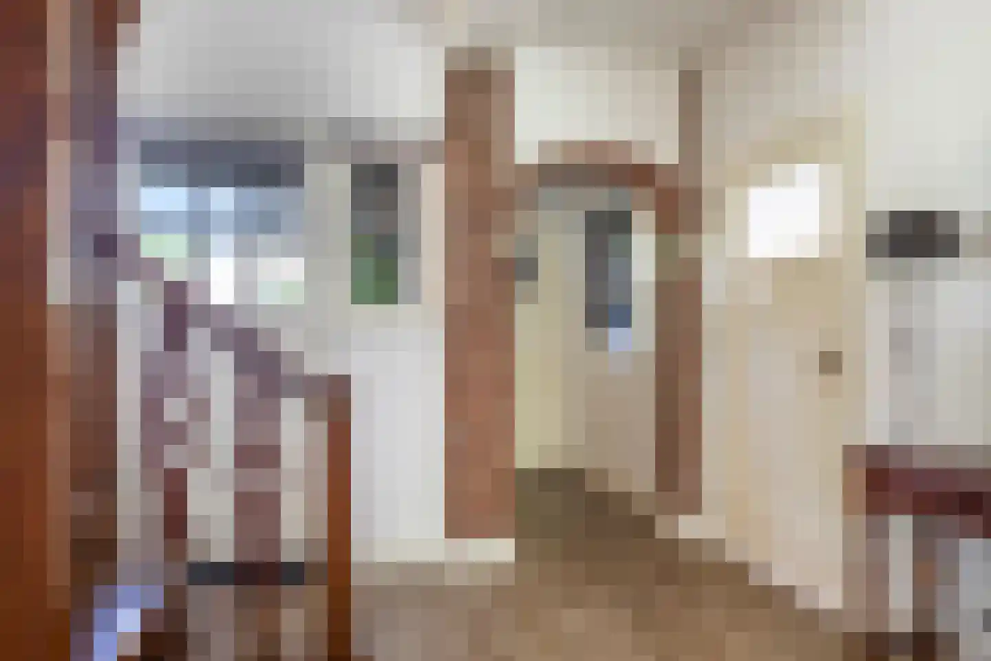 Libanonweg 5 Hattem thumbnail 8