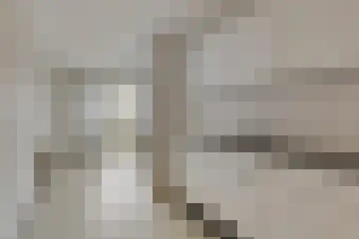 Libanonweg 68 Rotterdam thumbnail 6