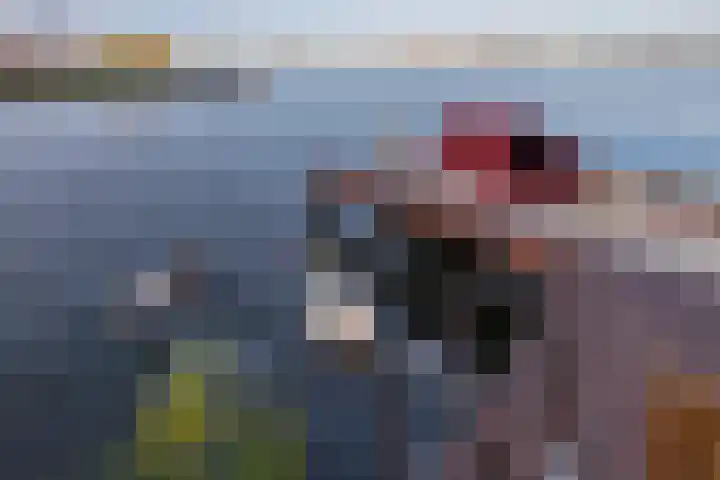 Libau-eiland 113 Amsterdam