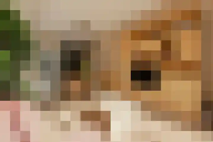 Libau-eiland 96 Amsterdam thumbnail 16