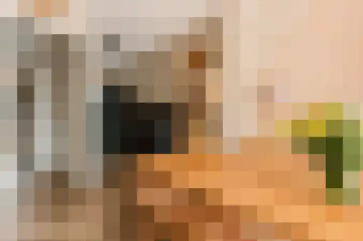 Libau-eiland 96 Amsterdam thumbnail 17