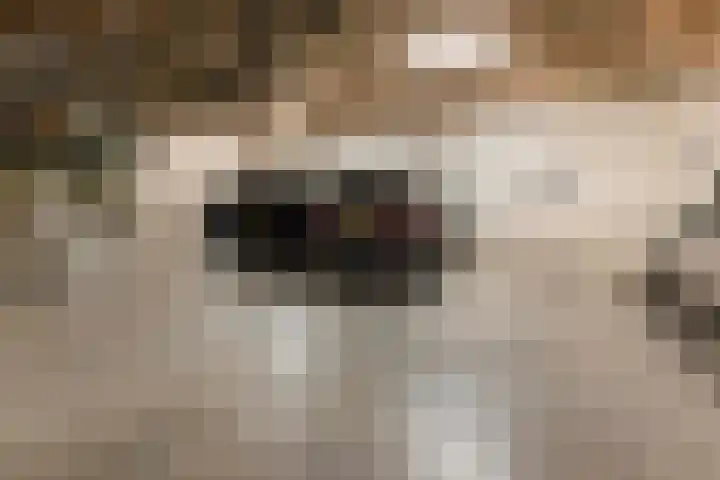 Libau-eiland 96 Amsterdam thumbnail 32