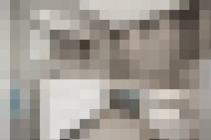 Libau-eiland 96 Amsterdam thumbnail 43