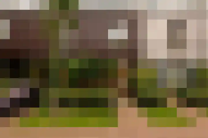 Libau-eiland 96 Amsterdam thumbnail 7