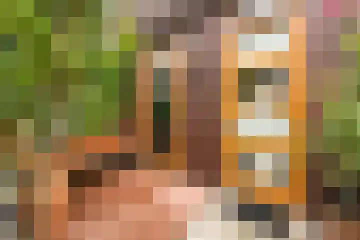 Libau-eiland 96 Amsterdam thumbnail 8