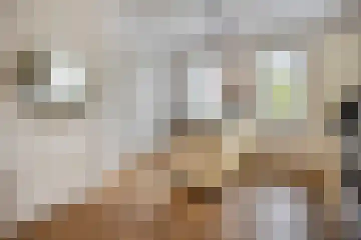 Libel 1 Epe thumbnail 13