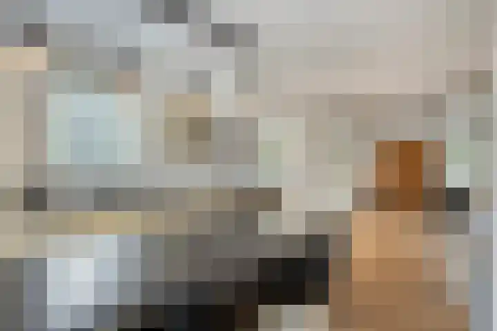 Libel 1 Epe thumbnail 14