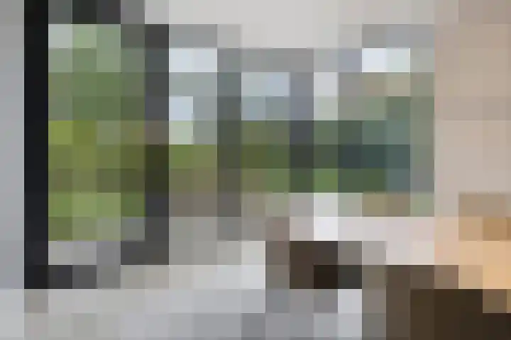 Libel 1 Epe thumbnail 16