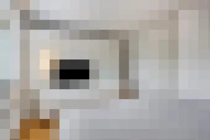 Libel 1 Epe thumbnail 20